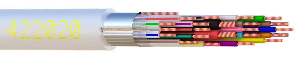 visuel de la référence 422020-00